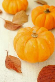 ハロウィン カボチャ ハロウィン カボチャ ハロウィン,ペポカボチャ,カボチャの写真素材