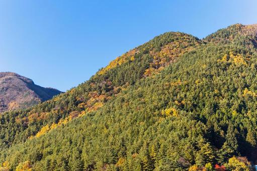 山 山,森林,木の写真素材