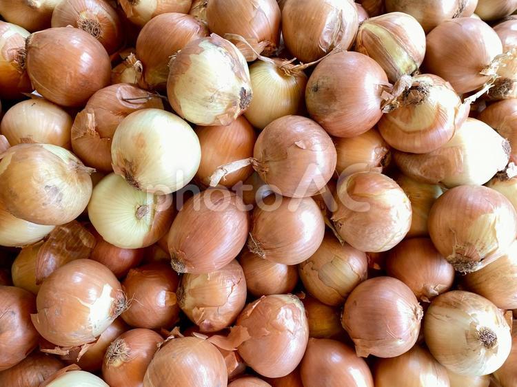 たくさんの薄皮付きのタマネギ　自然光撮影 タマネギ,オニオン,onionの写真素材