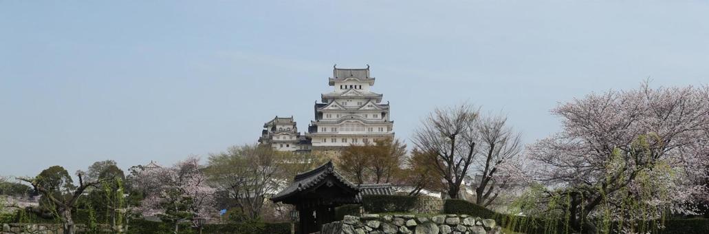 Photo, himeji castle, cherry blossoms, world heritage, 