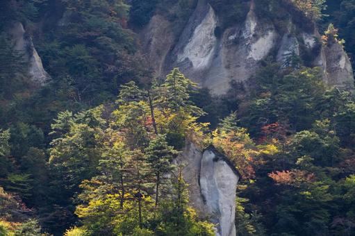 白岩の秋⑶ 白岩の秋⑶ 秋,黄葉,紅葉の写真素材