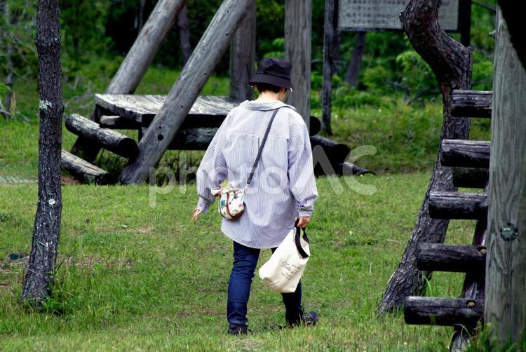 ＜素材＞真夏の公園を散歩する女性の後ろ姿 女性,人物,風景の写真素材