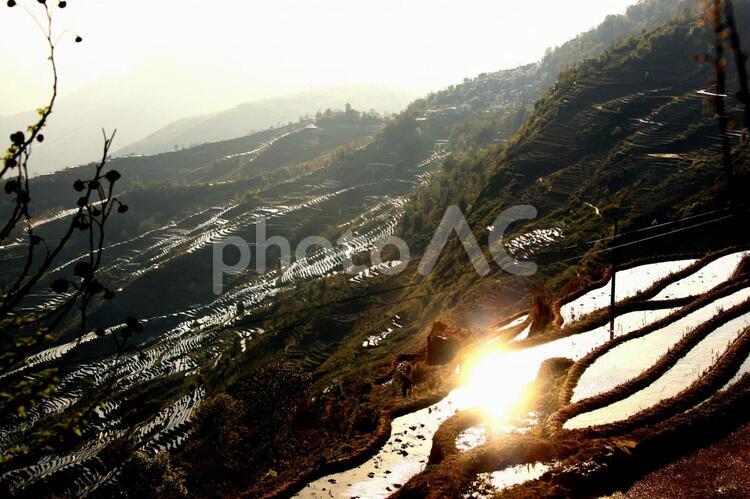 棚田の風景　03 中国,雲南省,山岳地の写真素材