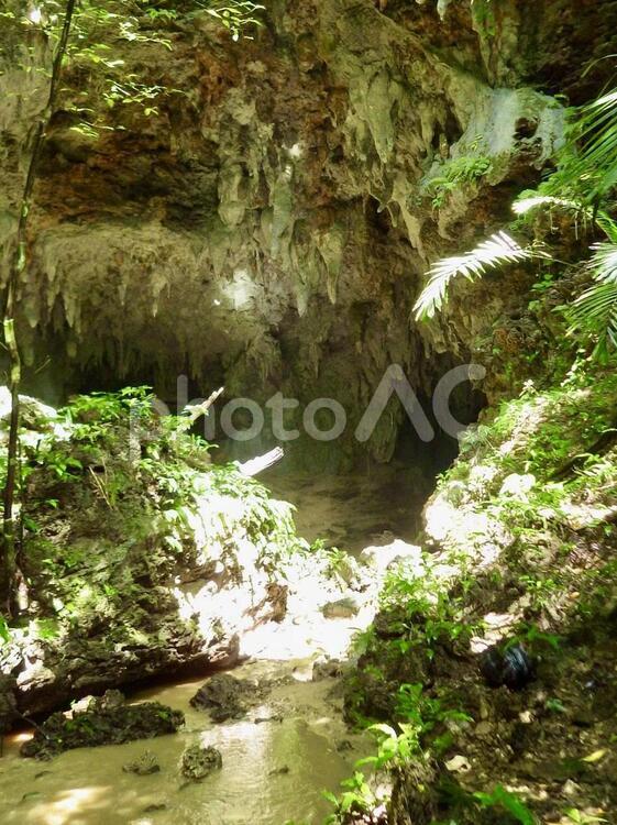 西表島の洞窟の入り口 西表島,沖縄,日本の写真素材