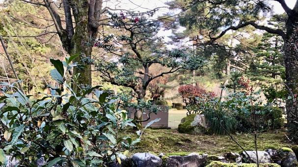 兼六園 兼六園 兼六園,庭園,観光地の写真素材