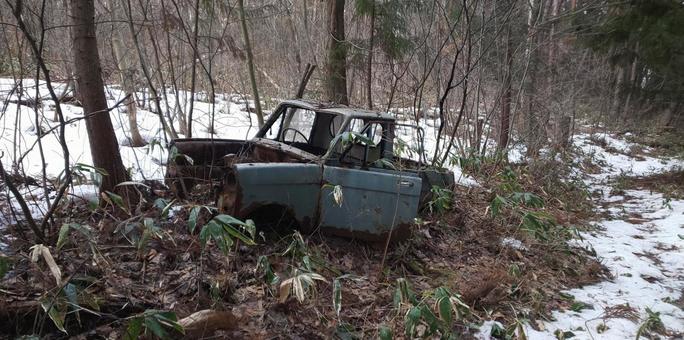 Photo, scrapped car, car, decay, 
