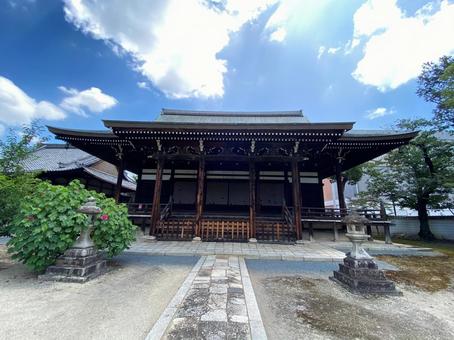 京都・妙顕寺の境内にて 京都・妙顕寺の境内にての写真