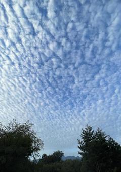 うろこ雲と林と遠くの山々 うろこ雲と林と遠くの山々の写真