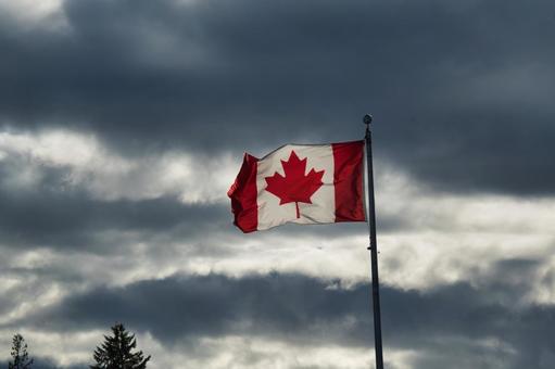 曇天にたなびくカナダの旗　　カナダ カナダの旗,カナダ,国旗の写真素材