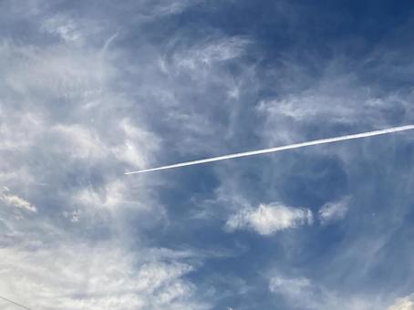 夏の空と飛行機雲 夏の空と飛行機雲の写真