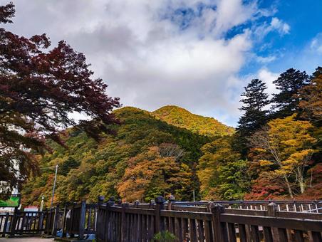 紅の吊り橋から見渡す 塩原温泉,紅葉,10月の写真素材