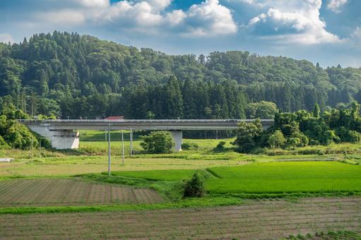 田舎 田舎 緑,森林,新緑の写真素材