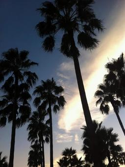 ある夏の日 ある夏の日の写真