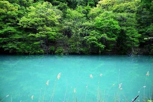 名もなき淵 名もなき淵 淵,風景,自然の写真素材
