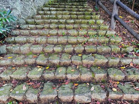 古道　苔　石段 古道,苔,石段の写真素材