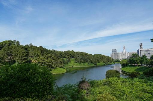 千鳥ヶ淵 初夏 千鳥ヶ淵 初夏 千鳥ヶ淵,晴れ,青空の写真素材
