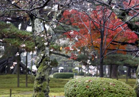 北陸路の紅葉の写真
