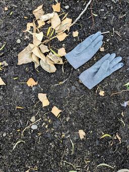 寒い季節の必須アイテム⑧ 自然,屋外,落ち葉の写真素材
