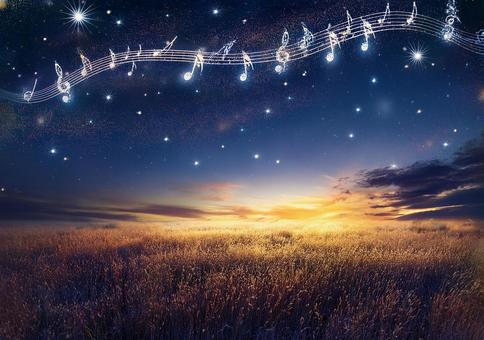 星譜を奏でる空 星譜を奏でる空の写真