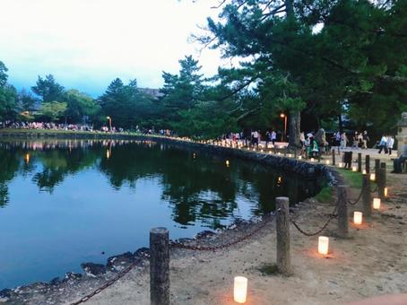 池と灯籠の写真