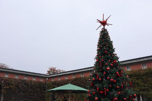 クリスマスツリー　アイビースクエア クリスマスツリー,アイビースクエア,倉敷の写真素材