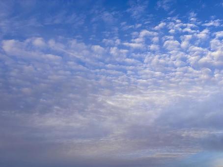【空の写真】秋の空の写真