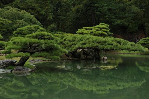 日本庭園01 日本庭園01の写真