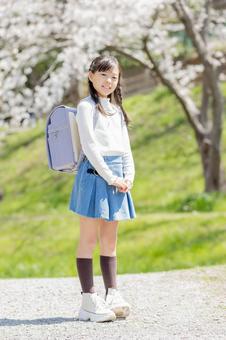 小学生と桜 小学生と桜の写真