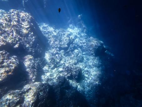 沖縄の青の洞窟 沖縄の青の洞窟 青の洞窟,水中,海中の写真素材