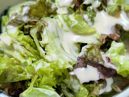 シーザーサラダ シーザーサラダ,サラダ,シーザの写真素材