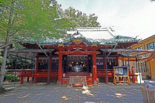 赤坂氷川神社(港) 赤坂氷川神社(港) 赤坂氷川神社,素戔嗚尊,奇稲田媛命の写真素材