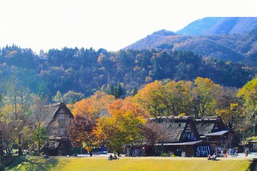 秋の白川郷 紅葉の合掌造り集落 秋の白川郷 紅葉の合掌造り集落 白川郷,合掌造り,集落の写真素材