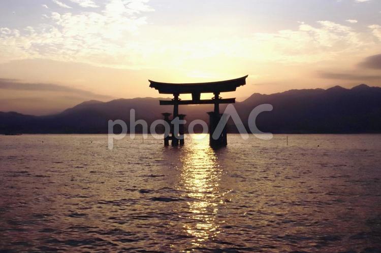 宮島大鳥居、夕暮れ 宮島,厳島神社,大鳥居の写真素材
