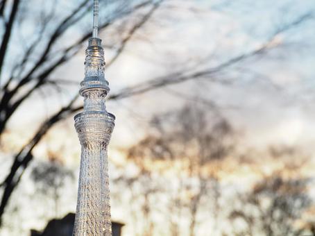 Skytree 對象和 sky_4 Skytree 對象和 sky_4