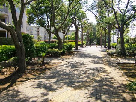 五月の緑風景-29の写真