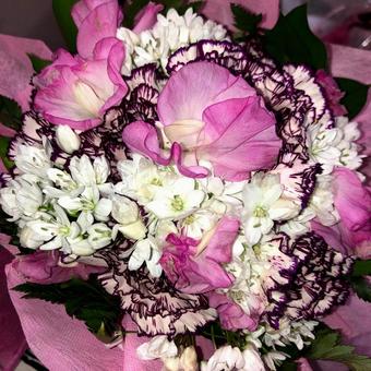 綺麗な花 綺麗な花の写真