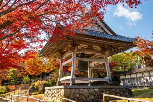 秋の香林寺⑽ 寺,香林寺,紅葉の写真素材