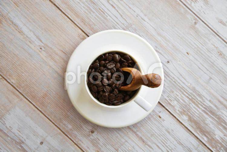コーヒー豆　イメージ コーヒー豆,珈琲豆,coffeeの写真素材