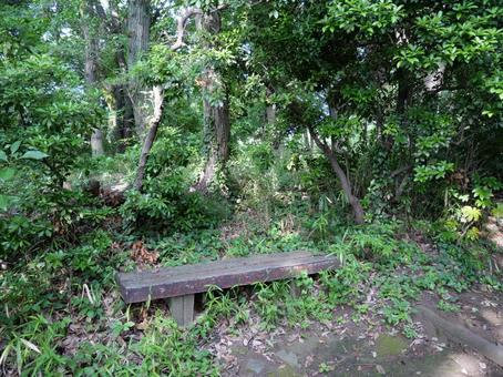 Photo, park, bench, natural, 