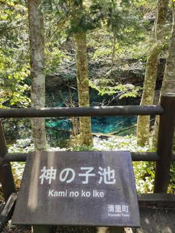 神の子池 秘境,神秘的,神の子池の写真素材