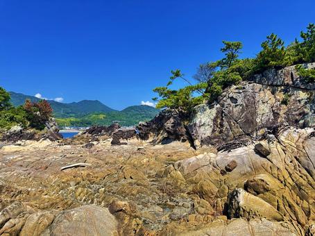海岸　夏の海 海岸,夏の海,磯の写真素材