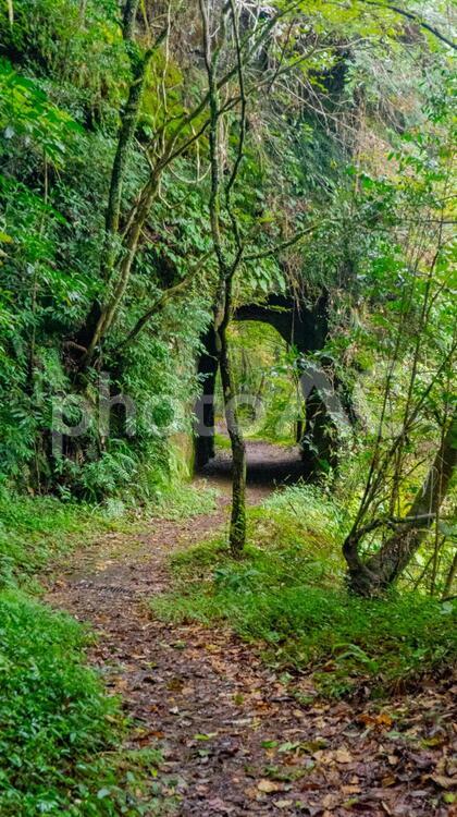 三之宮峡の風景 三之宮峡,宮崎,小林の写真素材