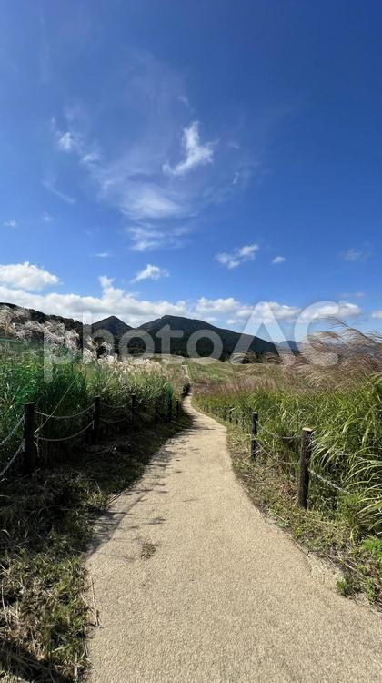 【奈良】曽爾高原の風景 曽爾高原,曽爾村,高原の写真素材