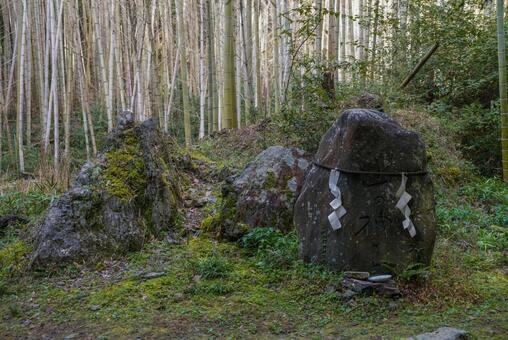 上桂の竹林 11月,秋,洛西の写真素材