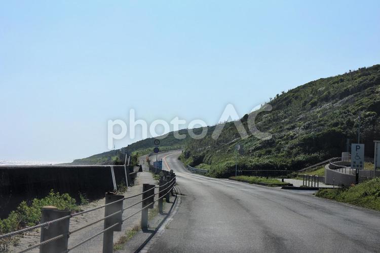 御前崎の海岸道路　山際のの道路 道路,満ち,山の写真素材