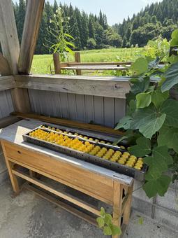 大きなそろばん そろばん,青空教室,ローカルの写真素材