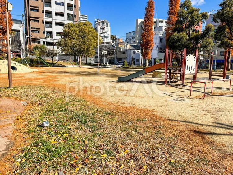 公園 風景,自然,景色の写真素材