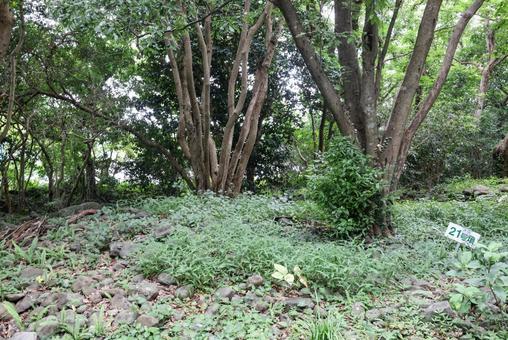 曲崎古墳群 曲崎古墳群の写真