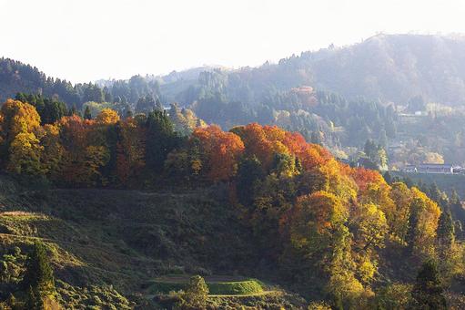 25年　山古志紅葉 山,自然,秋の写真素材