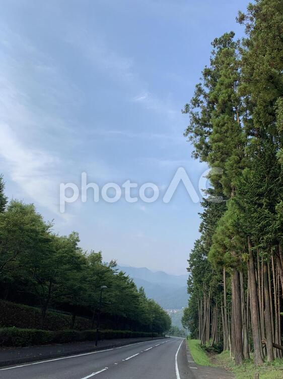 青空の下、林を抜けて 道路,自然,瀝青の写真素材